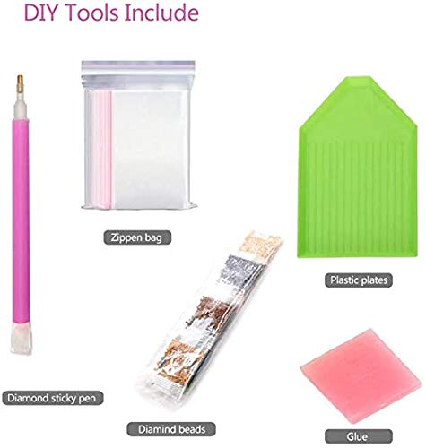 https://m.media-amazon.com/images/I/41sY5+64DZL.jpg