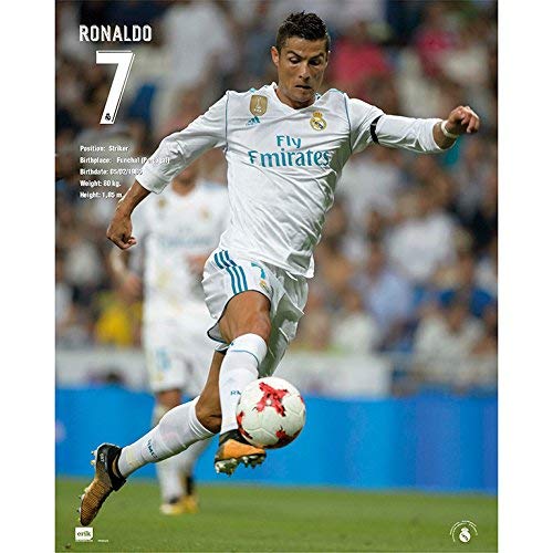 https://m.media-amazon.com/images/I/51I+l-A+B8L.jpg