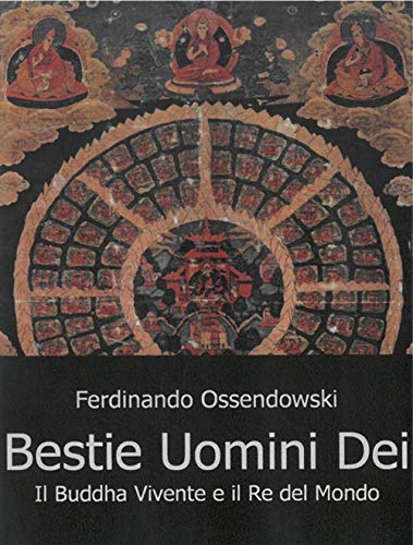 https://m.media-amazon.com/images/I/51lusxaekEL.jpg