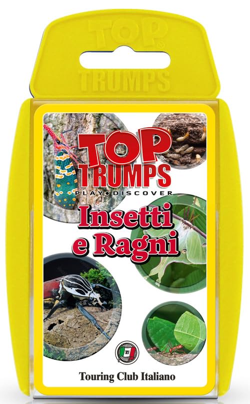 https://m.media-amazon.com/images/I/61+IwER9E-L.jpg