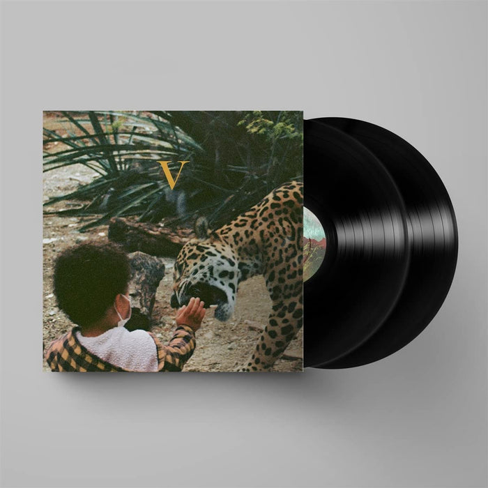 Unknown Mortal Orchestra - V (2 Lp);