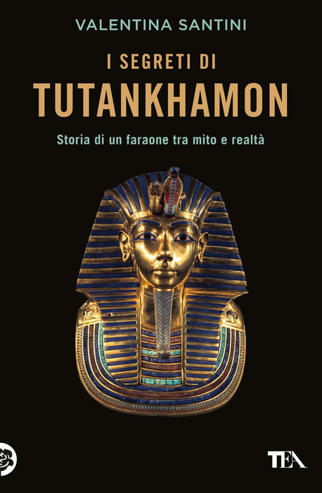 https://m.media-amazon.com/images/I/61ioQD93MoL.jpg