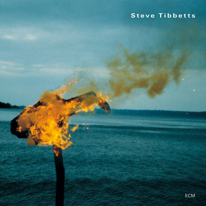 Steve Tibbetts - A Man About A Horse;