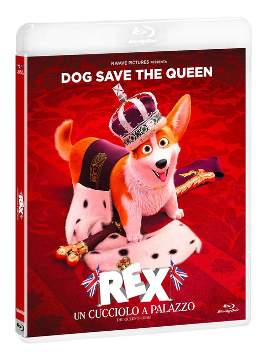 https://m.media-amazon.com/images/I/71FYNZo6iyL.jpg