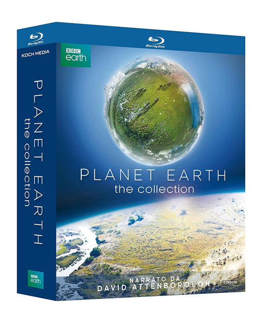 https://m.media-amazon.com/images/I/71ddK8EAbBL.jpg