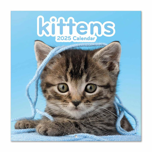 https://m.media-amazon.com/images/I/71s7N9netTL.jpg