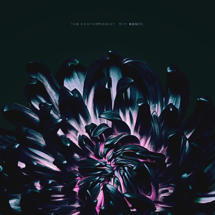Contortionist (The) - Our Bones;