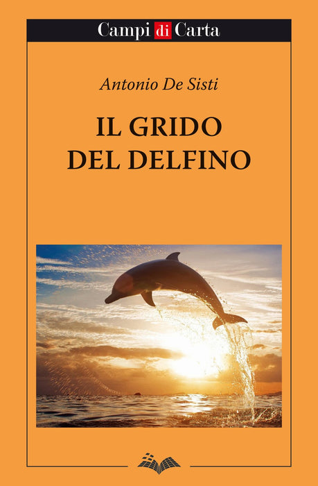 https://m.media-amazon.com/images/I/71wi7Vyr6tL.jpg