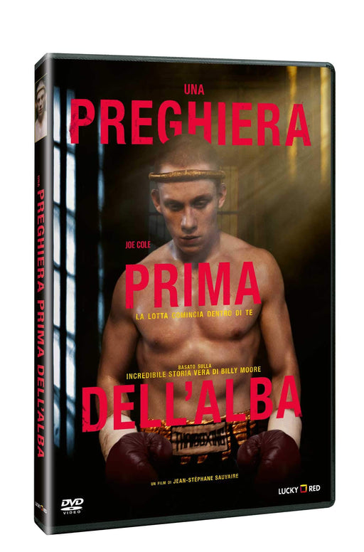 https://m.media-amazon.com/images/I/71yQUD7z5PL.jpg
