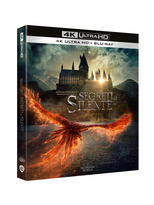 https://m.media-amazon.com/images/I/81HfsrVs7TL.jpg