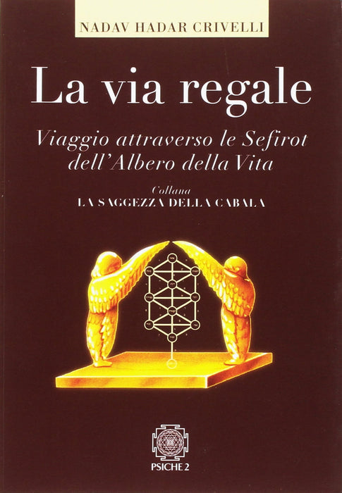https://m.media-amazon.com/images/I/81R2NKLEuiL.jpg