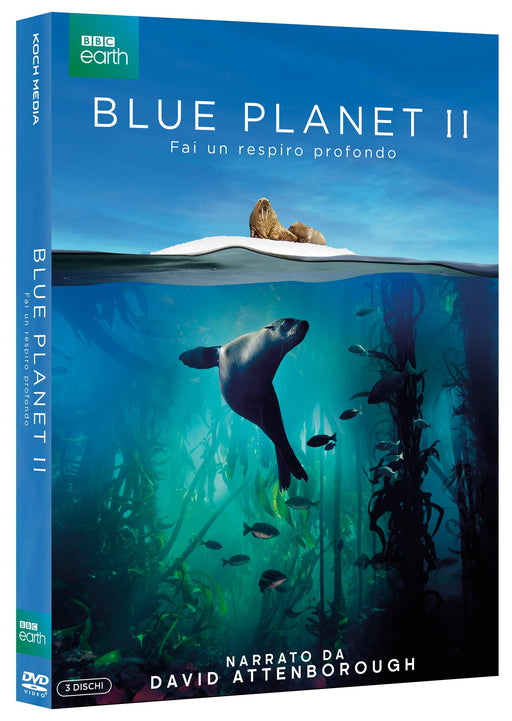 https://m.media-amazon.com/images/I/81XX-uEVJzL.jpg