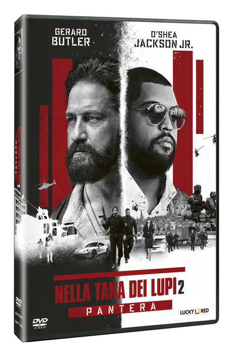 https://m.media-amazon.com/images/I/81ZXxBZuOYL.jpg