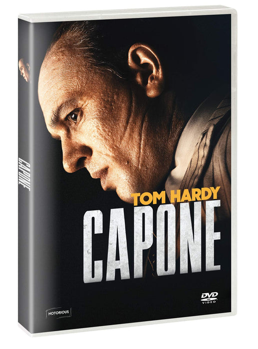 https://m.media-amazon.com/images/I/81ab7wB0S-L.jpg