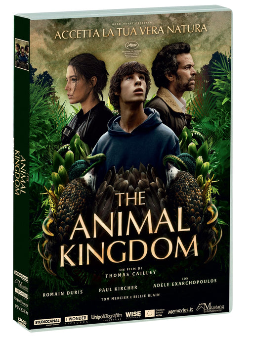 https://m.media-amazon.com/images/I/81fxYYtyHsL.jpg