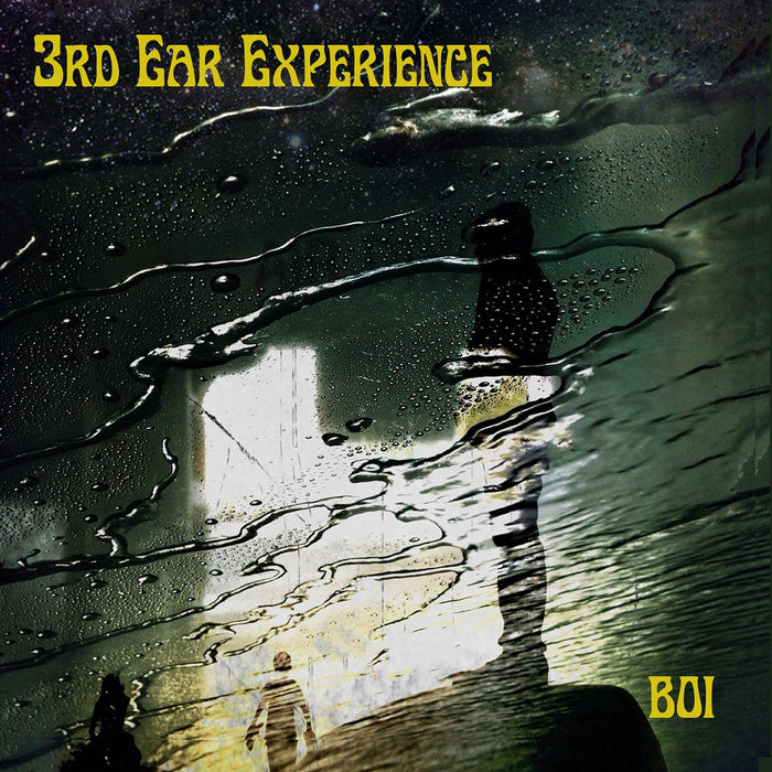 3Rd Ear Experience - 3Rd Ear Experience;