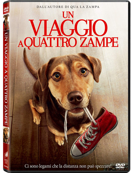 https://m.media-amazon.com/images/I/9156abdfWnL.jpg