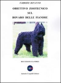 https://m.media-amazon.com/images/I/310COcrvwbL.jpg