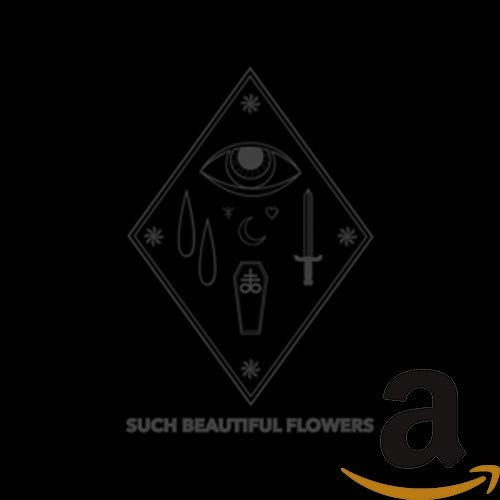 https://m.media-amazon.com/images/I/317yDDKg-jL.jpg