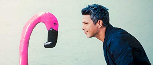 Alejandro Sanz - El Disco;