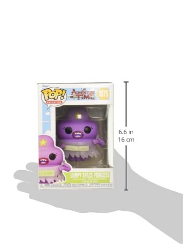 https://m.media-amazon.com/images/I/31S5gHjnCzL.jpg