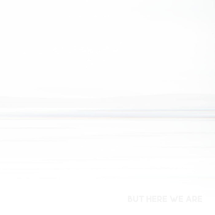 Foo Fighters - But Here We Are (With Poster);