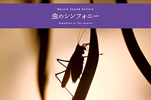 https://m.media-amazon.com/images/I/31d1xMubLdL.jpg