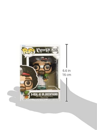 https://m.media-amazon.com/images/I/31gAQCzTPyL.jpg
