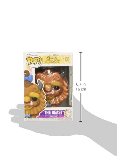 https://m.media-amazon.com/images/I/31oiqcThu+L.jpg