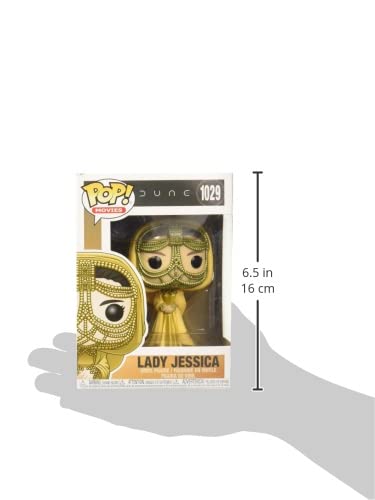 https://m.media-amazon.com/images/I/31rrgn1QFAL.jpg