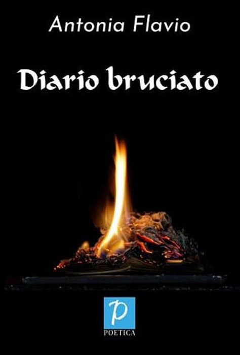 https://m.media-amazon.com/images/I/412tiaO8dgL.jpg