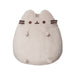 https://m.media-amazon.com/images/I/419n5UyIN2L.jpg