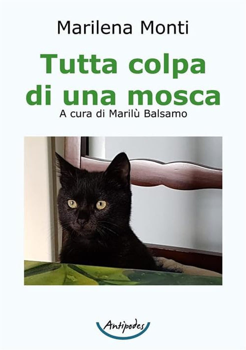 https://m.media-amazon.com/images/I/41EjFTMC5VL.jpg