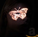 https://m.media-amazon.com/images/I/41FM1XSrpQL.jpg