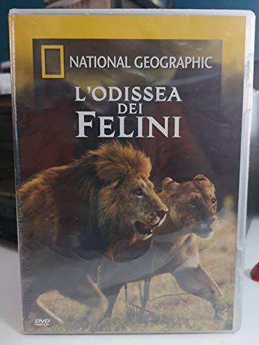 https://m.media-amazon.com/images/I/41FQdUNZdIL.jpg
