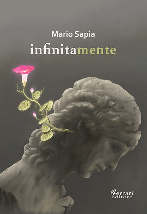 https://m.media-amazon.com/images/I/41IMj8inTgL.jpg