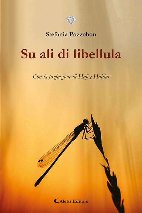 https://m.media-amazon.com/images/I/41MjuwEvGjL.jpg