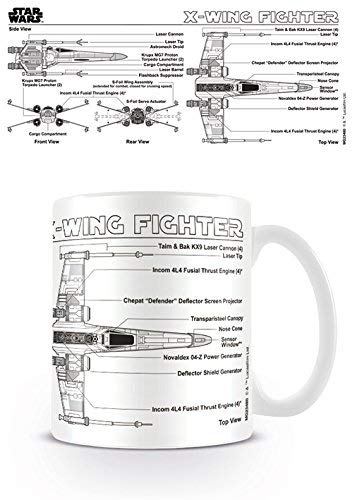 https://m.media-amazon.com/images/I/41PJkeGs7iL.jpg