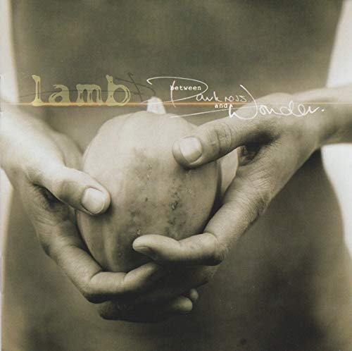 Lamb - Between Darkness And Wonder;