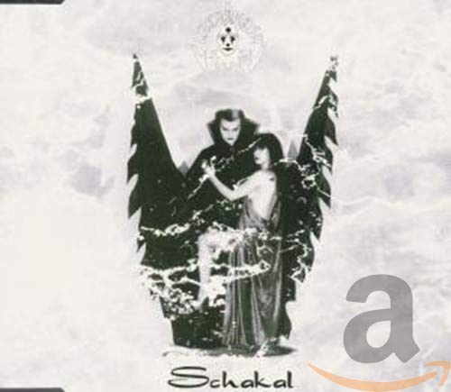 https://m.media-amazon.com/images/I/41Uz9YIsi0L.jpg
