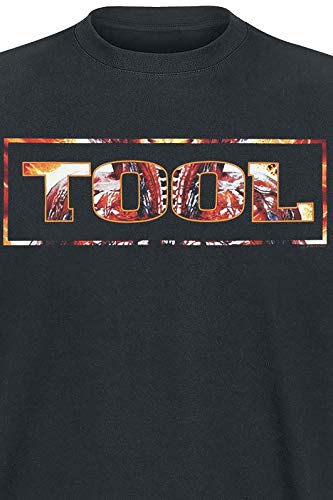https://m.media-amazon.com/images/I/41X7wq9OKAL.jpg