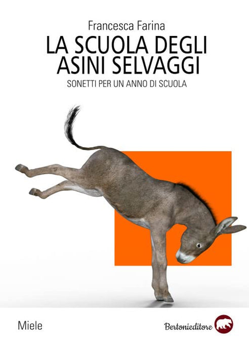 https://m.media-amazon.com/images/I/41bOCXQV9EL.jpg