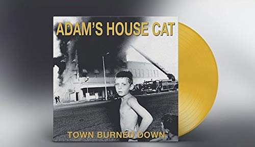 https://m.media-amazon.com/images/I/41cgpPsedrL.jpg