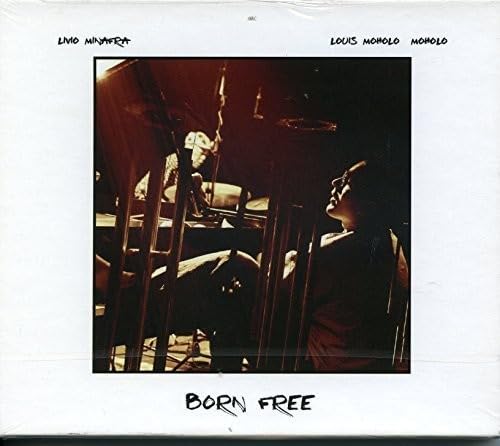 https://m.media-amazon.com/images/I/41cl+-aZ-JL.jpg