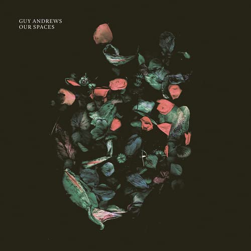 Guy Andrews - Our Spaces (2 Lp);