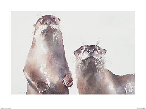 https://m.media-amazon.com/images/I/41fUp3vpT8L.jpg