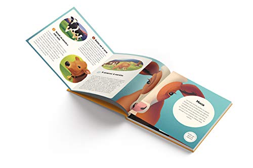https://m.media-amazon.com/images/I/41g140Z6mcL.jpg