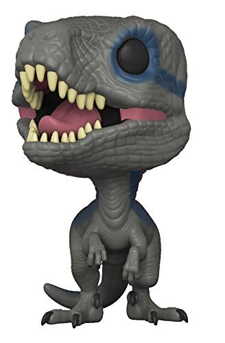 https://m.media-amazon.com/images/I/41jZc2sWzJL.jpg