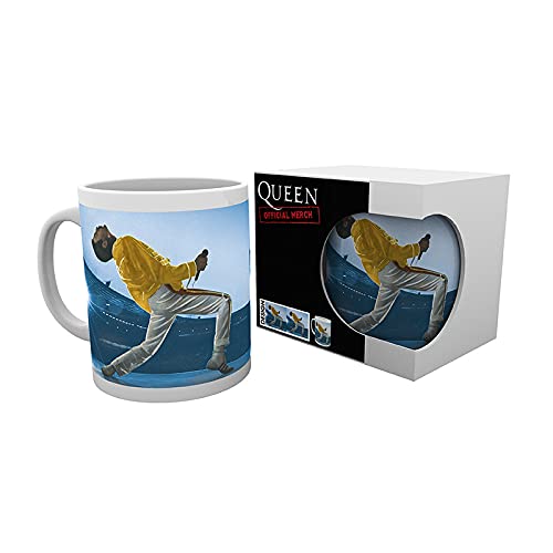 https://m.media-amazon.com/images/I/41lGOkqgLZL.jpg