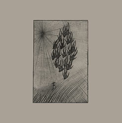 Aine O'Dwyer - Locusts;